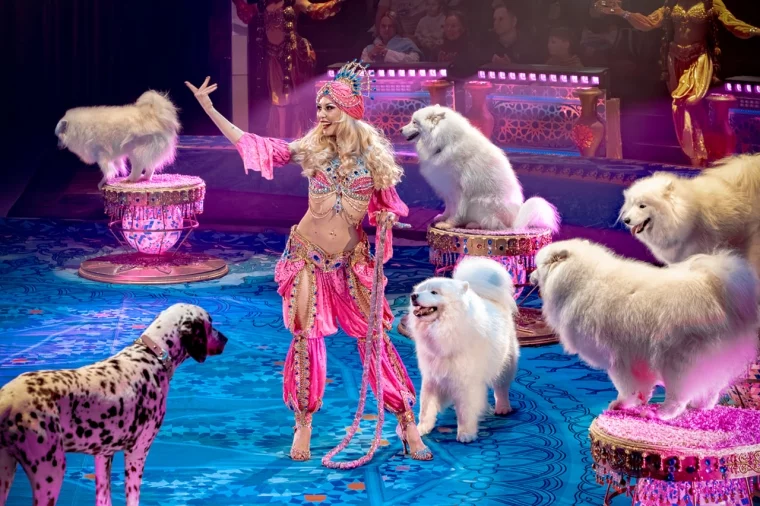 Фото: Аншлаг с первых дней: в Кемеровском цирке состоялась премьера шоу Гии Эрадзе «Песчаная сказка» 2