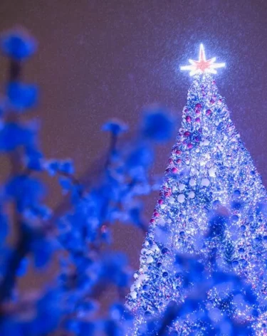 Мелони: 2025 год был тяжёлым, а 2026 будет ещё хуже