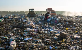 В Кузбассе для вывоза ТКО привлекут дополнительные машины