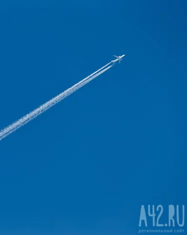 Фото: A42.RU
