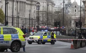 Названо имя подозреваемого в организации теракта в Лондоне