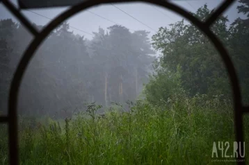 Фото: Утренние туманы и дожди: синоптики рассказали о погоде в Кузбассе первый рабочий день июля 1