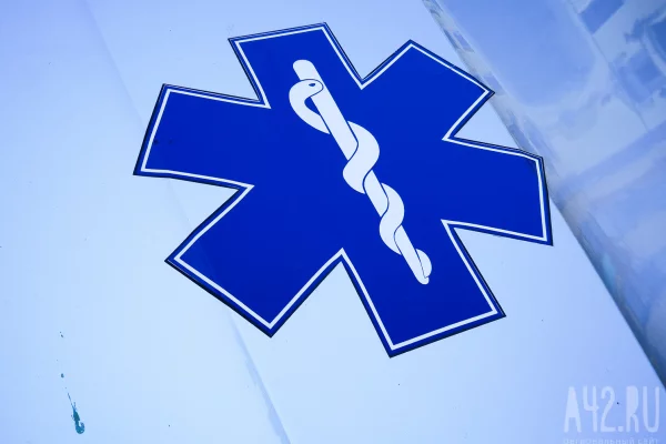 В Бразилии 19-летний посетитель зоопарка залез в вольер к львице и погиб