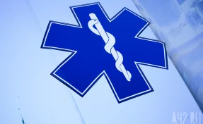 В Бразилии 19-летний посетитель зоопарка залез в вольер к львице и погиб