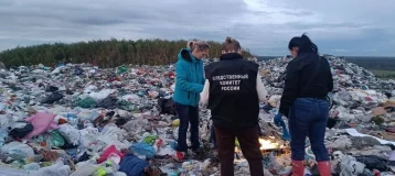 Фото: В Ленинградской области на свалке обнаружили тело младенца 1