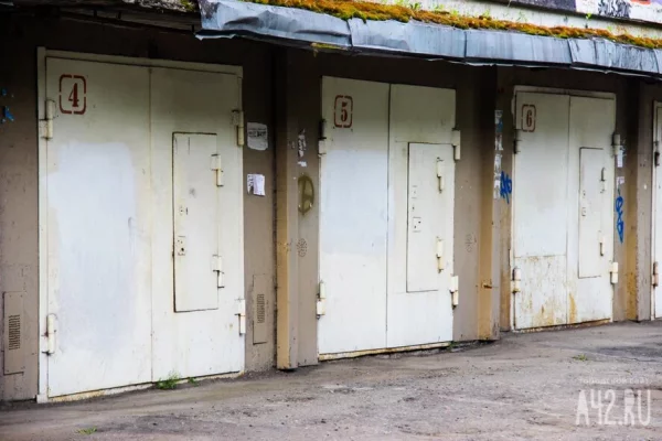 В Барнауле игравшего на крыше гаража 11-мальчика убило током 