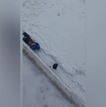 Фото: Установлена личность женщины, выпавшей из окна седьмого этажа в Кемерове 1