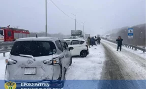 В Приморье на трассе произошло ДТП с участием 25 автомобилей