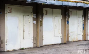 В Барнауле игравшего на крыше гаража 11-мальчика убило током 