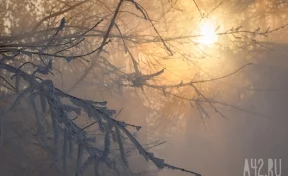 Синоптики прокомментировали первые морозы в Кузбассе