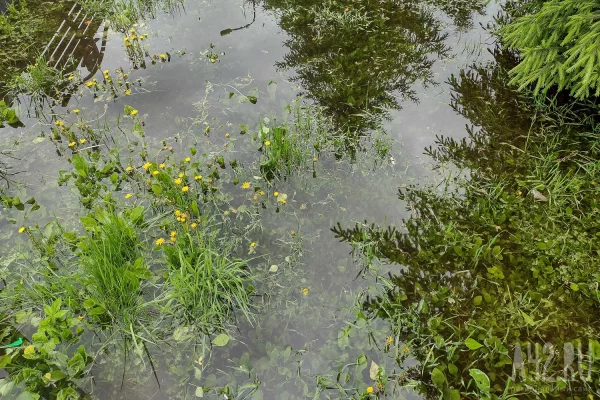 В Новокузнецке продолжают ликвидировать последствия подтопления, вода опустилась на 10 см