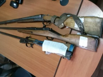 Фото: В Таштаголе пенсионер нашёл на даче три ружья и полкило пороха 1