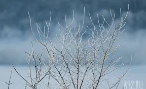 Гололёд и морозы: в Кузбассе на неделе похолодает до -30