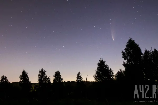 Три человека, включая 4-летнюю девочку, пострадали при ракетном обстреле белгородского села
