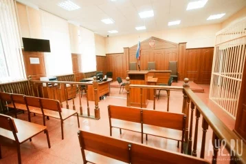 Фото: Суд отправил в СИЗО главу Кемеровского округа Марину Коляденко 1