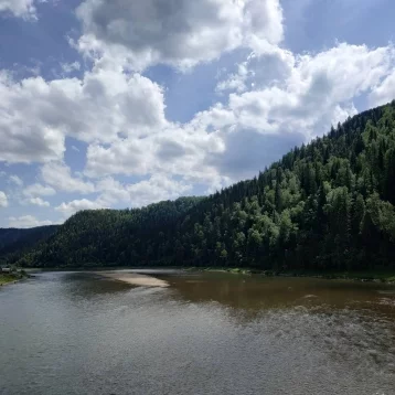 Фото: Замгубернатора Кузбасса прокомментировал жалобы на загрязнение рек золотодобытчиками 1