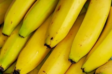Фото: Эксперты предсказали миру банановый кризис  1