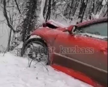 Фото: В Кузбассе автомобиль врезался в дерево 1
