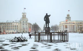 Власти Кемерова рассказали, когда завершится установка ели на площади Советов