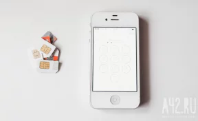 В МВД рассказали, как проверить, сколько сим-карт зарегистрировано на человека