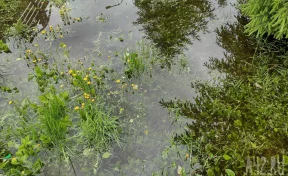 В Новокузнецке продолжают ликвидировать последствия подтопления, вода опустилась на 10 см