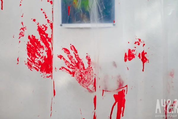 Жительница Кузбасса 20 раз воткнула в знакомого нож: женщину задержали