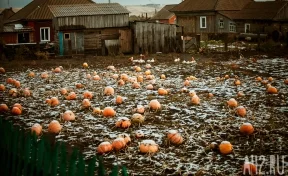 Синоптики дали прогноз погоды на 28 сентября в Кузбассе