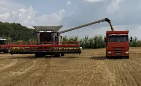 В Кузбассе аграриям начали отгружать дополнительное топливо для уборки урожая
