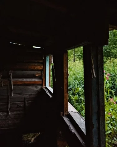 Фото: A42.RU