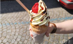 Более 166 тонн кузбасского мороженого вывезено в Монголию с начала 2025 года