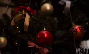 «Вторая кража за месяц»: в Кузбассе похитители Рождества попали на видео