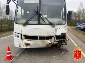 Фото: Одиннадцать детей пострадали в ДТП с автобусом под Санкт-Петербургом 1
