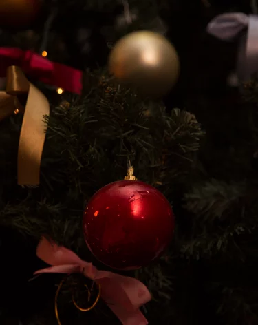 «Вторая кража за месяц»: в Кузбассе похитители Рождества попали на видео