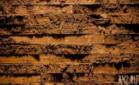 Подросток застрял в дымоходе заброшенного дома и пролежал там 7 лет