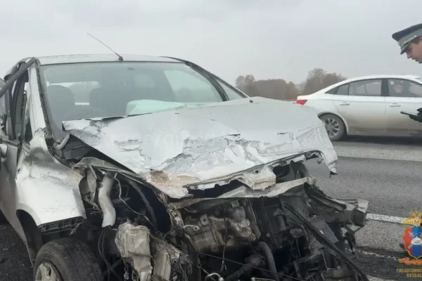 В Кузбассе 67-летняя женщина за рулём иномарки врезалась в дорожное ограждение и погибла