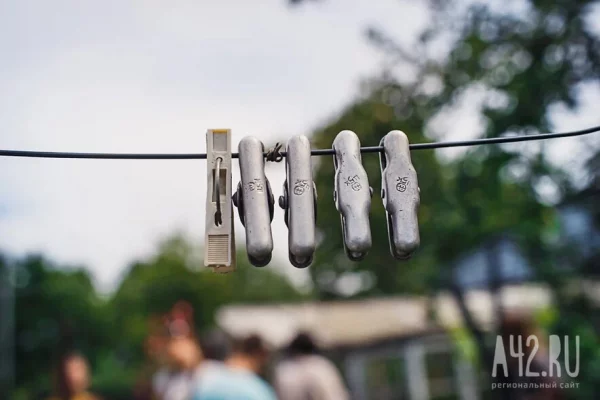 В Сибири пенсионерка требует назад дачу, проданную «под влиянием мошенников»