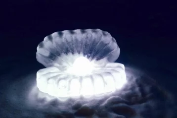 Фото: Ледяную жемчужину с подсветкой создали в Кемерове 1