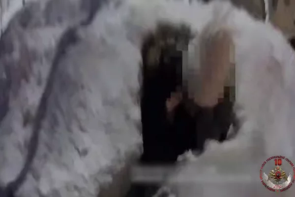 В Москве росгвардейцы помогли провалившейся в сугроб 10-летней девочке