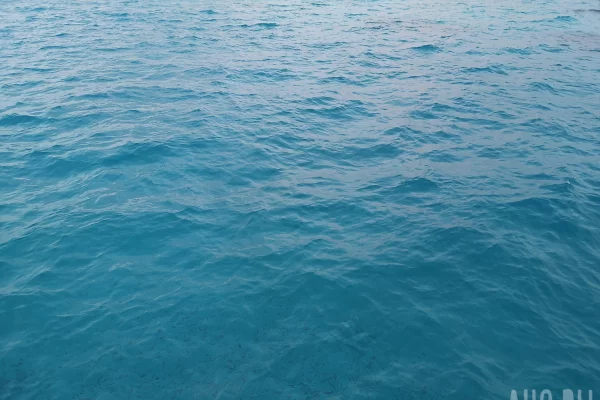 Под Новосибирском подростки спасли тонущего в реке друга и получили награды