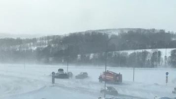 Фото: Опубликовано видео с места массового ДТП у кемеровской Лесной Поляны 2