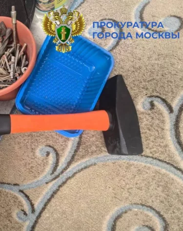 В Москве возбудили дело на похитившего и убившего собаку мужчину