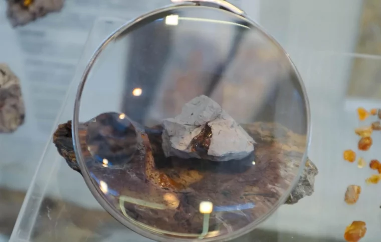 Фото: Самый древний янтарь России, мини-стоунхендж Алчедата и хищный ящер Киякурсор: что раскопали археологи в Кузбассе 2