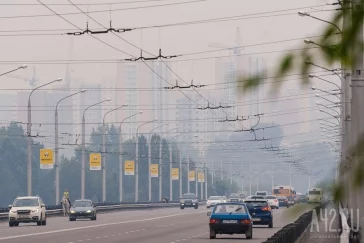 Фото: Как уберечься от смога: врачи дали рекомендации кузбассовцам 2