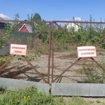 Фото: В Кемерове обследовали сибиреязвенное захоронение 1
