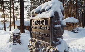 В «Томской Писанице» прокомментировали инцидент с девочкой на Масленице