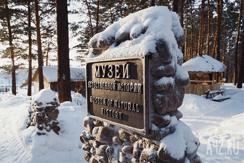 В «Томской Писанице» прокомментировали инцидент с девочкой на Масленице