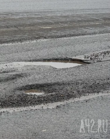 Фото: A42.RU