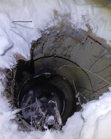 Фото: <a href=https://t.me/su_skr74/6490>СУ СК России по Челябинской области</a> / Telegram