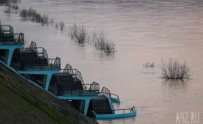 Уровень воды в тюменской Туре превысил критическую отметку
