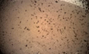 Аппарат NASA сел на Марс и прислал первый снимок 